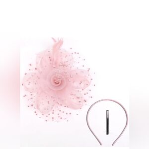 Elegant Pink Fascinator